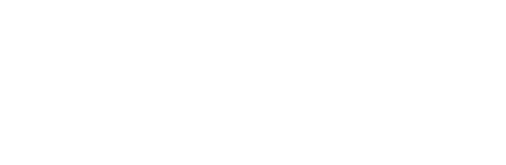 DPM Software House